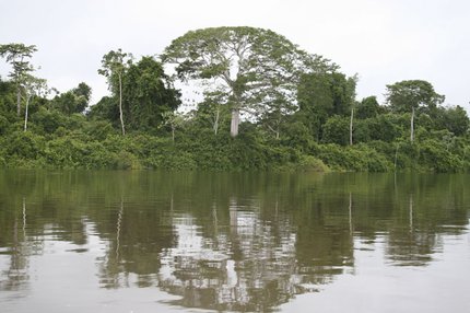 08_rio_xingu.jpg