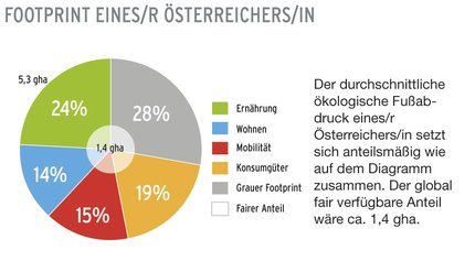 sp3_grafik01.jpg