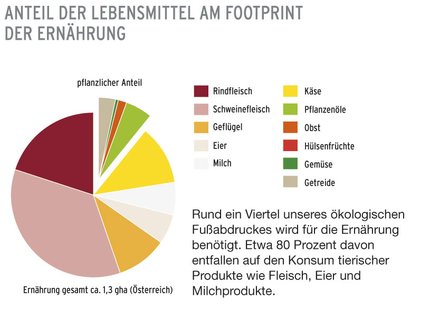 sp3_grafik02.jpg