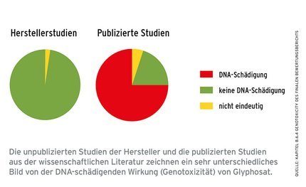 grafik_sp2.jpg