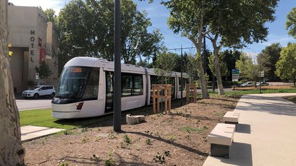 TramAvignon_lepetitroutierdu24.jpg