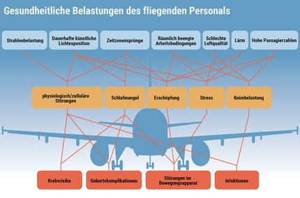 grafik_studie.jpg