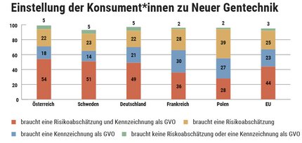 grafik_sp1.jpg