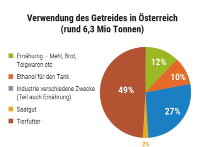 grafik_leben.jpg