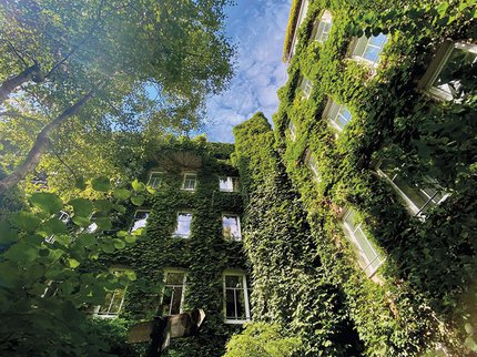 Boutiquehotel_Bjoern_Schoas_DIE-UMWELTBERATUNG.jpg