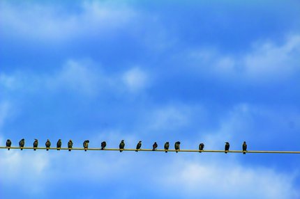 lars-schneider-unsplash_CMYK.jpg