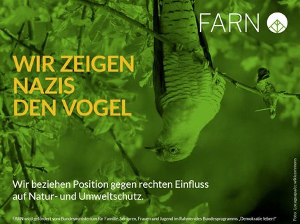 farn_vogel.jpeg